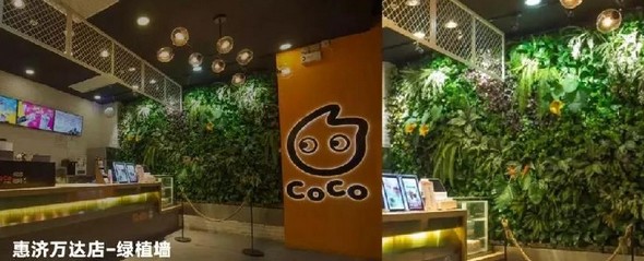从15平方小店到全方位升级 CoCo都可的思路是什么?