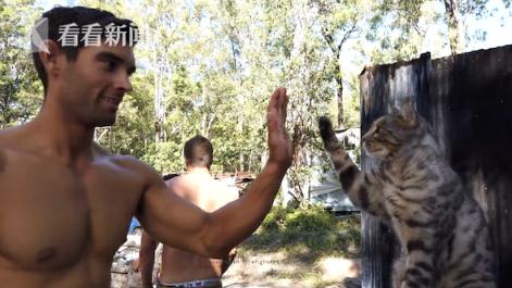 澳洲消防员新挂历 主题依然是猛男加动物