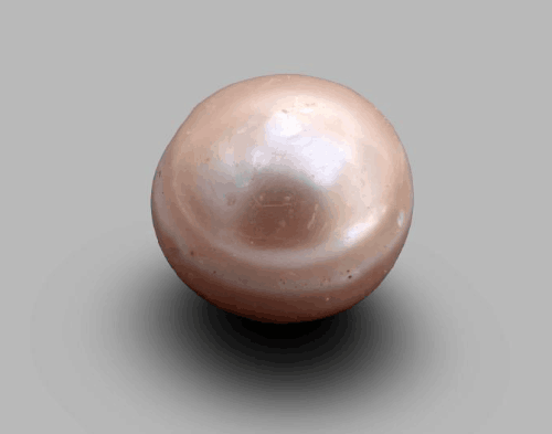 阿联酋阿布扎比展出一颗8000年历史的珍珠