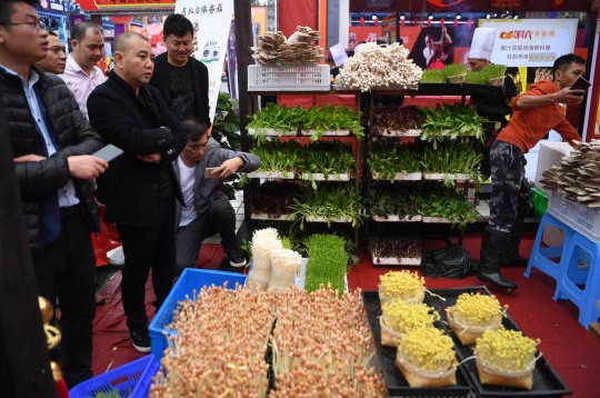 二筒老火锅把“田园风光”搬进店 给消费者看得见的新鲜