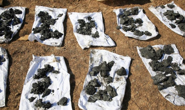 湖北发现东周公墓群 出土400多件珍贵文物