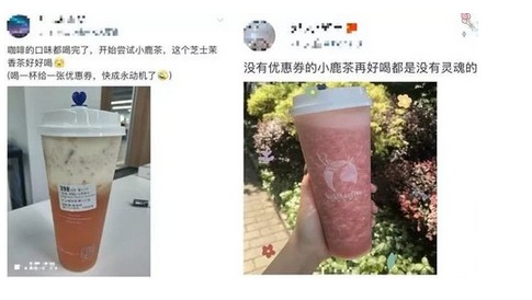 小鹿茶已开业 一杯奶茶折后仅售4元