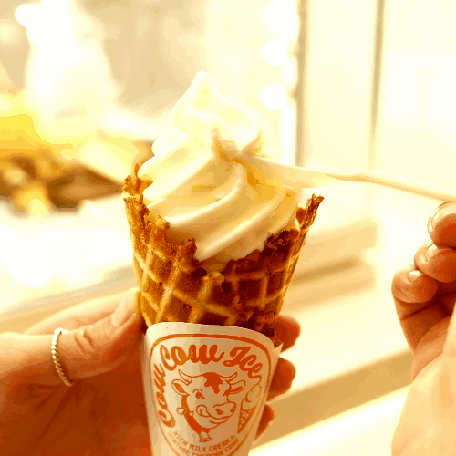 日本“牛牛”TOKYO MILK CHEESE FACTORY在国内开了第3家门店