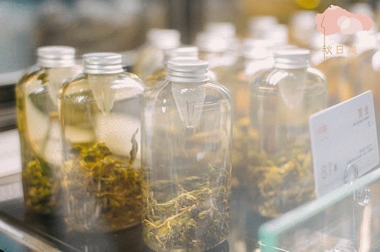 秋日岚:认真工作 也别忘了取悦自己