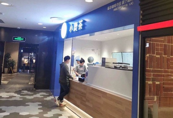 初生小鹿不怕虎 小鹿茶在28城连开42家门店