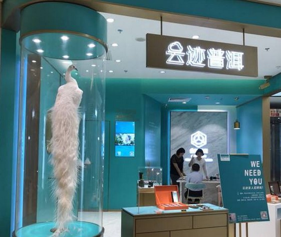 经历6年研究荣获7项专利 云迹普洱将都市白领变成新茶客