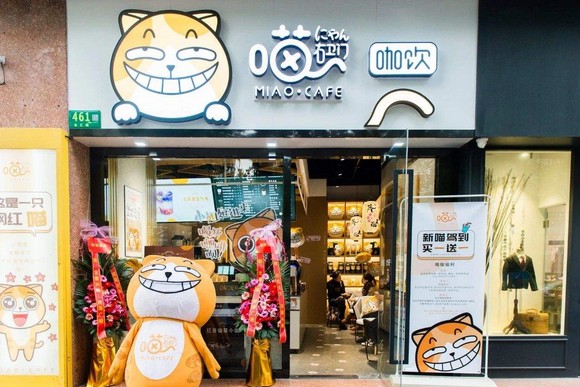 让咖啡回归常态 喵右卫门咖啡已有100多家加盟店