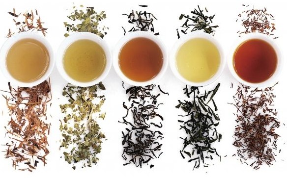 传统茶叶结合草本 Tea Plays用中国茶打开欧洲市场