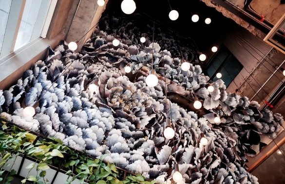 东茶界:成了网红爆款 也开始了“九死一生”