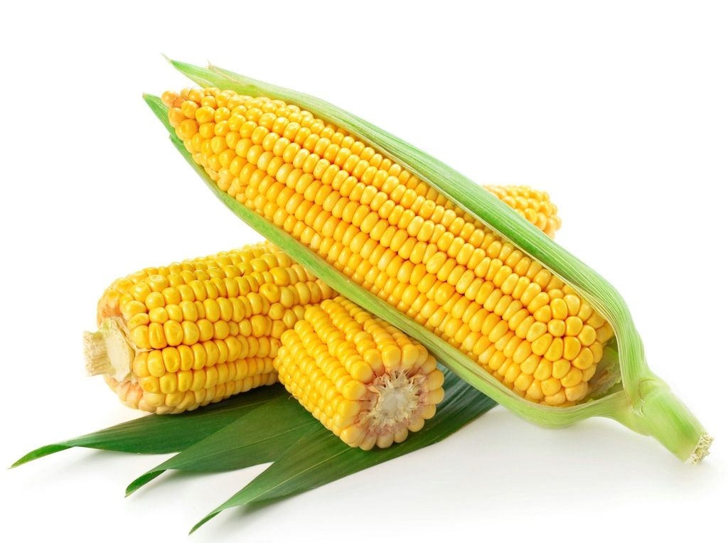 86222cca65bdfd25e44380f07c073fd.jpg?_=1574904328843