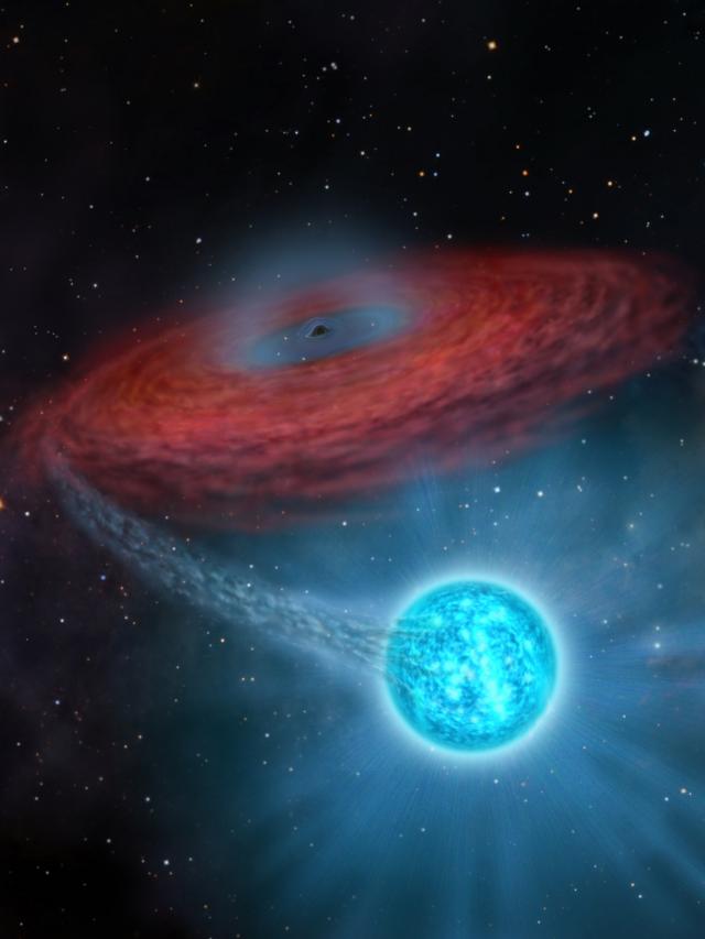 黑洞撕裂恒星瞬间被天文学家探测到了