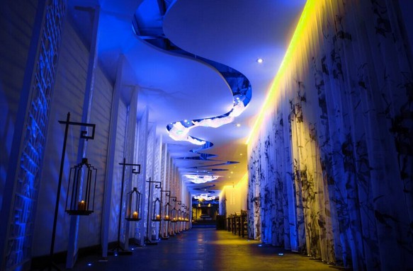 大董烤鸭:每一盘珍馐都是一副意境唯美的画卷