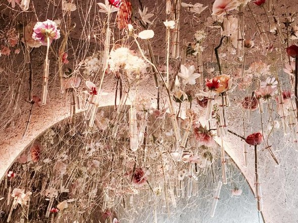 Tomacado花厨餐厅:用一种生活方式征服所有少女心