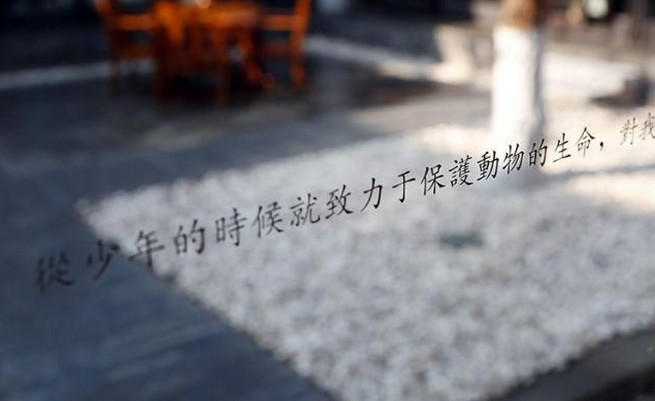 京兆尹:中西结合古今穿越 四合院里的素食餐厅