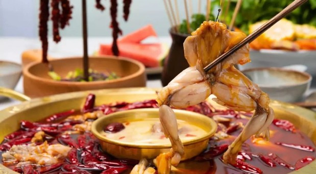 现杀牛蛙鲜香嫩滑 蜀口令美蛙鱼头火锅市场销量遥遥领先