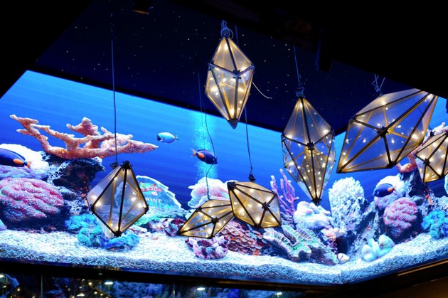 古山日式海鲜火锅:在寒冷的冬天治愈人心 每一口都是惊喜