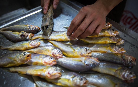 友味黄鱼面馆:一碗完美的黄鱼面能让人吃得连汤都不剩
