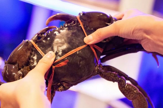 七欣天品蟹轩:这里的螃蟹个个出生不凡