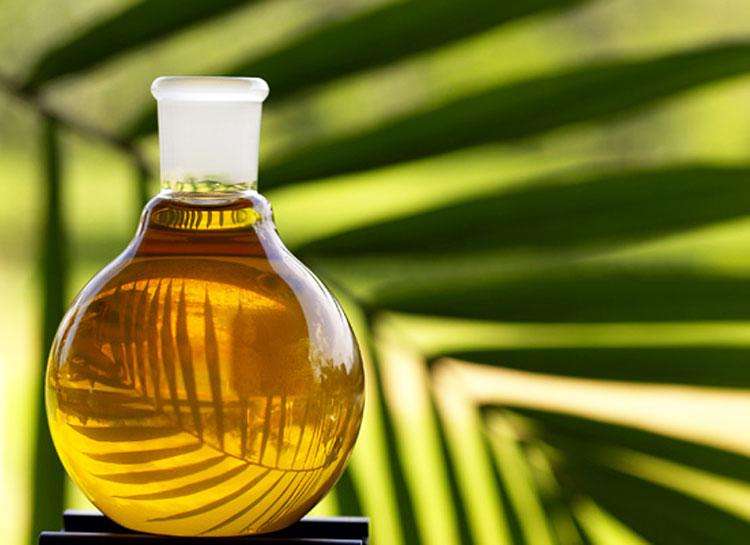 棕榈油：减产不息 涨势不止