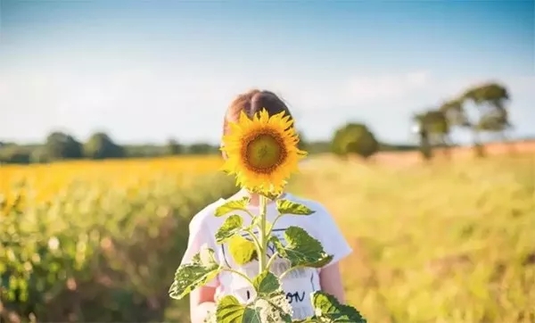 外汇市场中模拟盘的优缺点是什么?