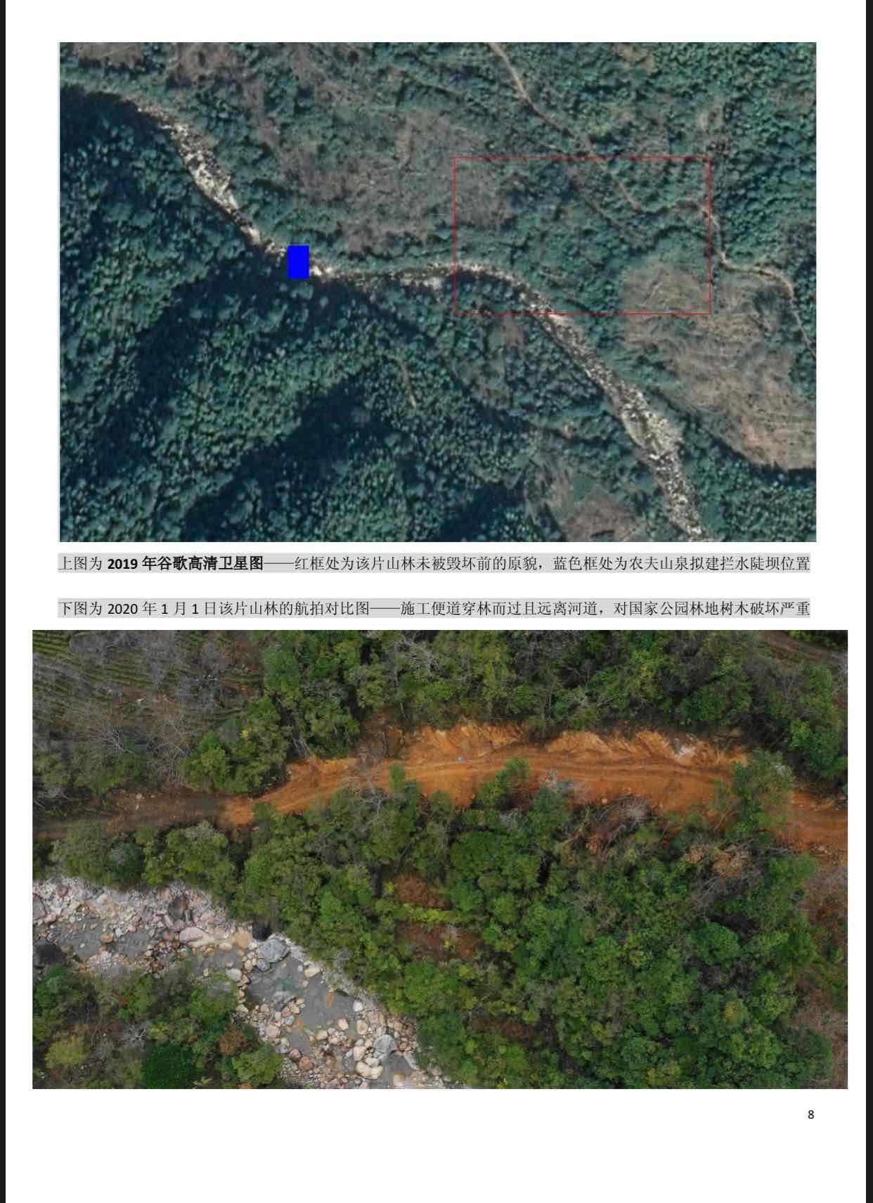 农夫山泉举报人发声 认为农夫山泉纯粹是毁林开道