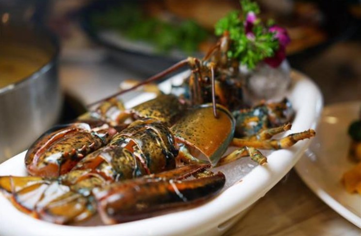 火锅串串之外的新选择 鼎凰花胶鸡海鲜火锅火了