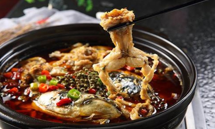 蛙来哒:看好前景 但现在首要任务是活下来