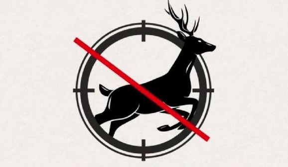 多地政府出台“禁食野味”条例 餐饮人一定要关注!