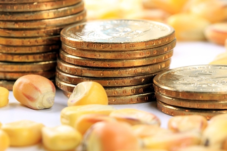 有色金属迎风起舞 后市依旧乐观