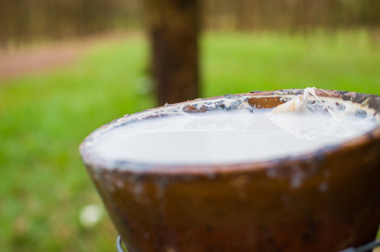 天然橡胶期货仍有做多空间 需有中长期投资理念