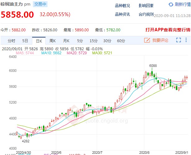 多方力量再度增强 棕榈油价格偏强运行