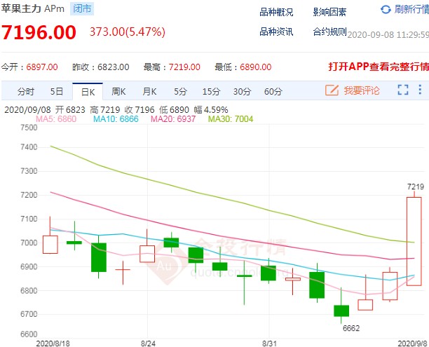 9月8日期市午评：商品期货涨跌参半 苹果期货涨逾5%