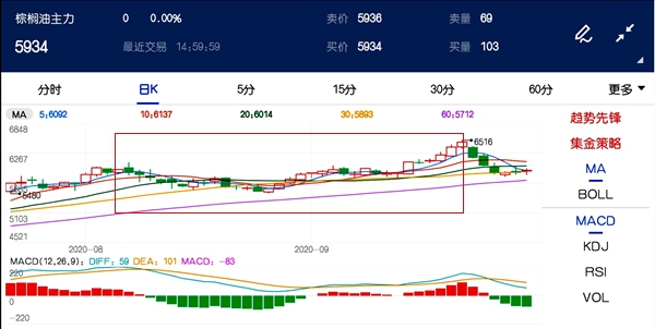 棕榈油价格连续回落 背后是谁在搞鬼？