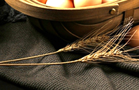 晚籼稻价格疯狂上涨 政府出手调控市场