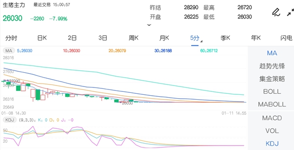 1月11日期市收评:商品期货大面积下跌 生猪主力连续两日跌停