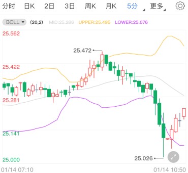 拜登就职典礼或遇袭 现货白银跌势触发