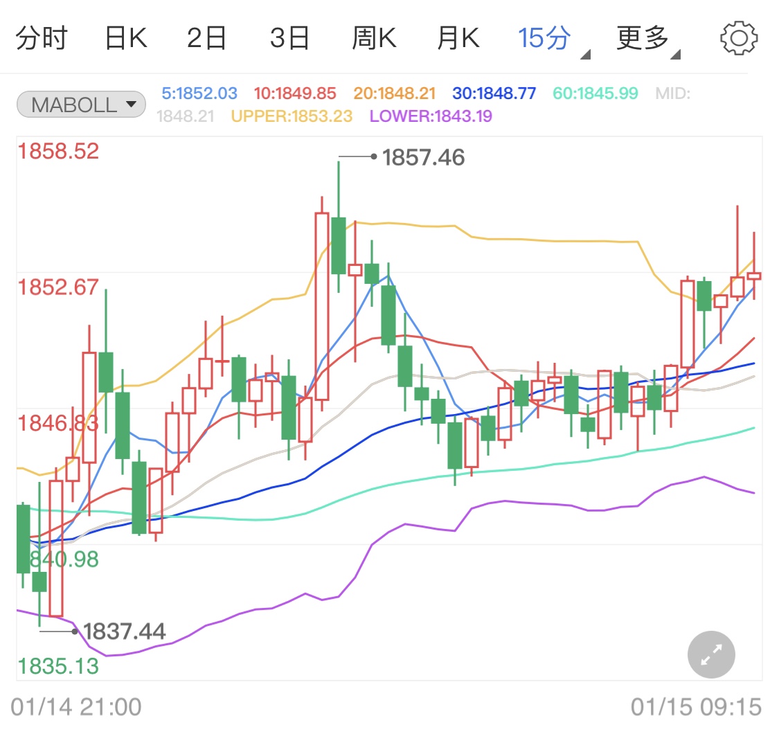 拜登推出刺激计划 国际金价小幅冲高