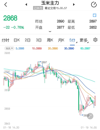 做多势头略有放缓 玉米期货走势或转为整固阶段