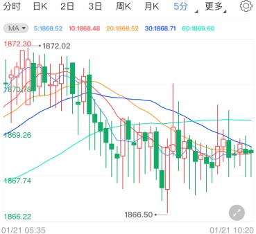 拜登签行政令重返世卫 现货黄金大涨后修正