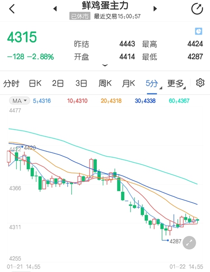 一度触及4287元低点 鸡蛋期货行情震荡回落