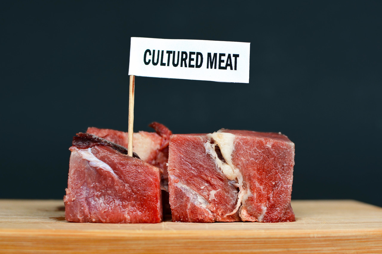 美国“人造肉第一股”与百事组建了合资企业