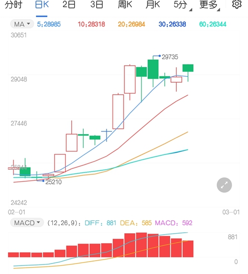 养一只猪能创造多少gdp_一只猪侧躺着像人的图(3)