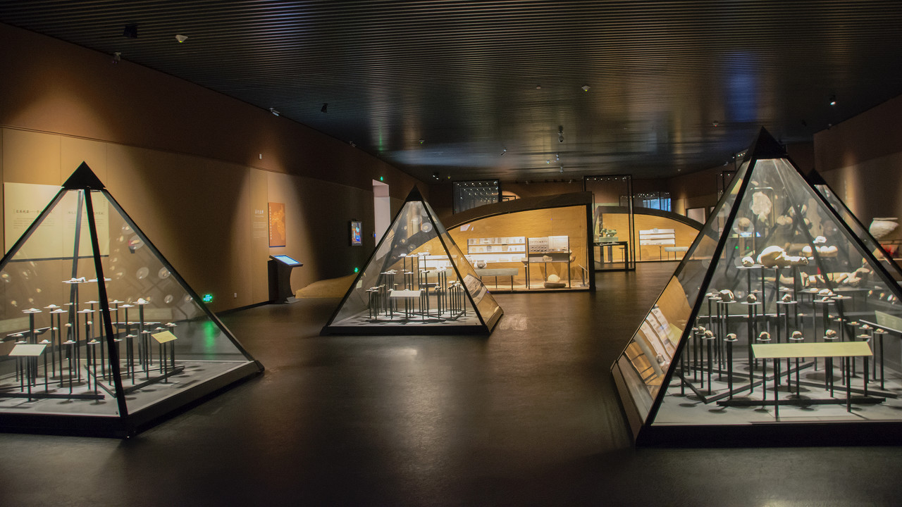 回调还是反转?股市 有答案了