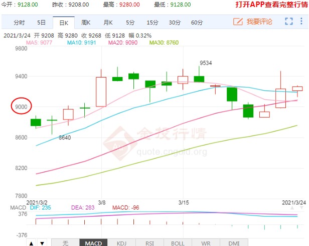 豆油行情突然强势反拉 因何如此反常?