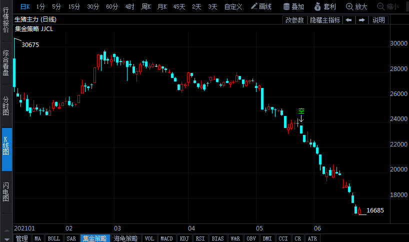 生豬價(jià)格半年跌超60% 期貨價(jià)格連創(chuàng)新低 何時(shí)會(huì)迎來止跌反彈？