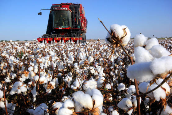 H&M抵制新疆棉的代价：损失7400万美元 销售额下降28%！