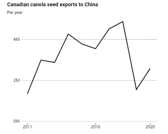 損失慘重！油菜籽出口跌70% 加拿大就中國(guó)禁令向世衛(wèi)二次申訴！