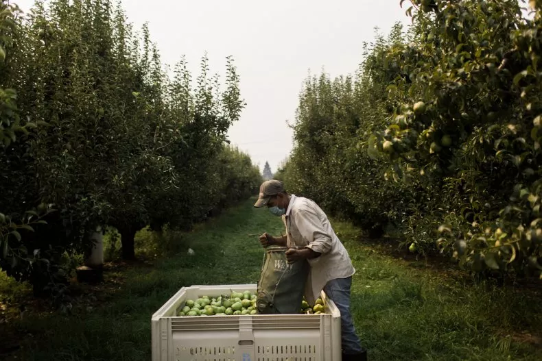 对华农产品出口增1.2倍 美智库:中国正在拥有美国农场!