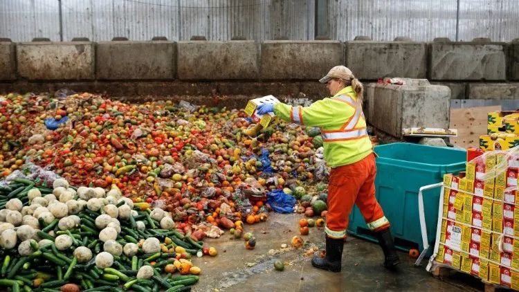 全球最浪费粮食国家TOP10！美日英法德均上榜 每年扔上千万吨！