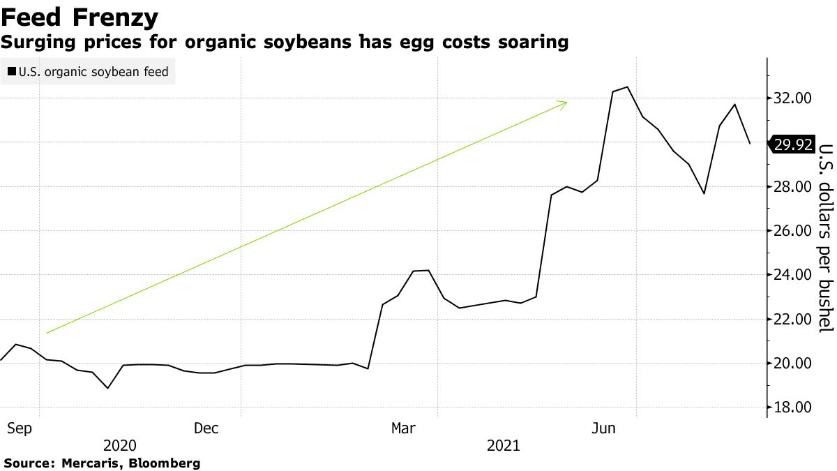 自讨苦吃！美国“挑事”印度致有机鸡蛋价格飞涨 或加剧食品通胀！